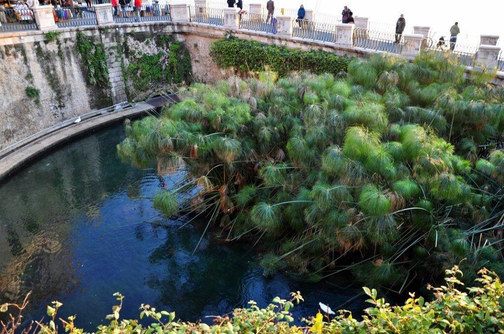 Siracusa Vacanze Syracuse Værelse billede